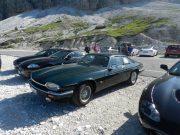 jaguar alle tre cime di lavaredo (7/26)